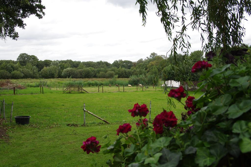 Vakantie Meerlo Exteriör bild